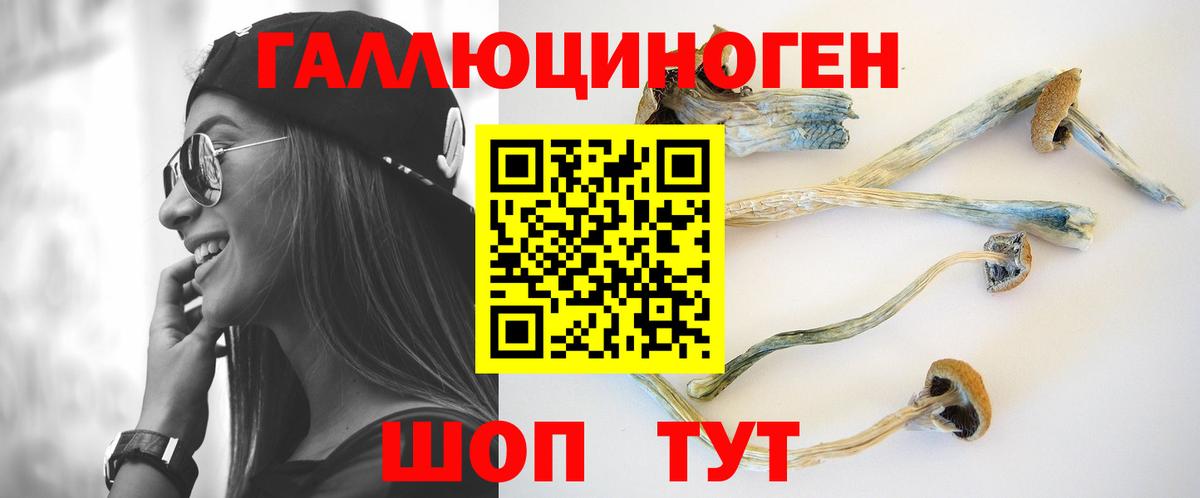 Галлюциногенные грибы MAGIC MUSHROOMS  Вход с VPN  Вязьма 
