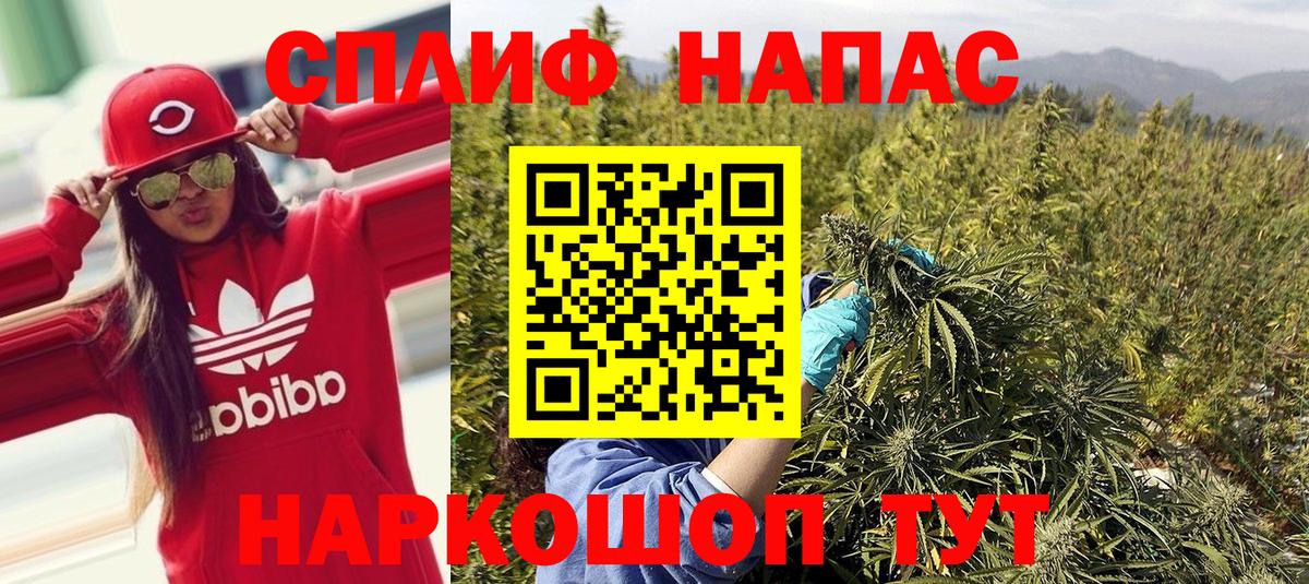 Бошки марихуана конопля  Вход с VPN  Конопля Bruce Banner  Вязьма 